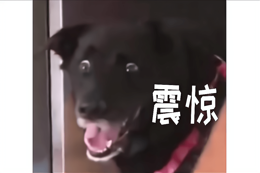 细节|最全西装搭配公式,照着穿贼帅(建议收藏)