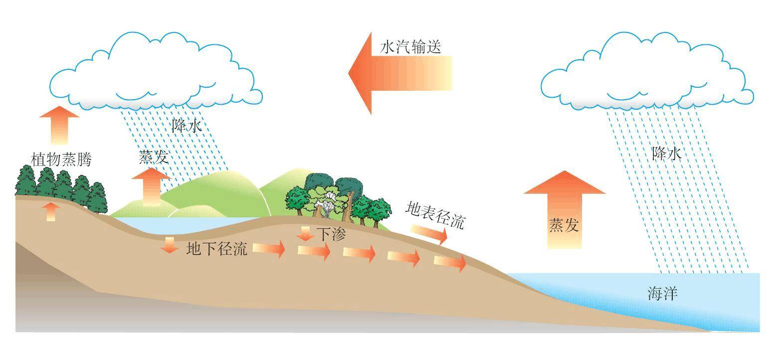 大海涨潮退潮的原理是啥？退潮以后的海水又去哪了？看完长知识了_搜狐网