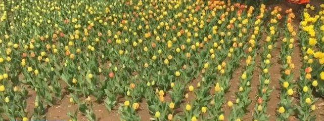 空气|这种病近期高发！医生提醒：吃抗生素不好使！