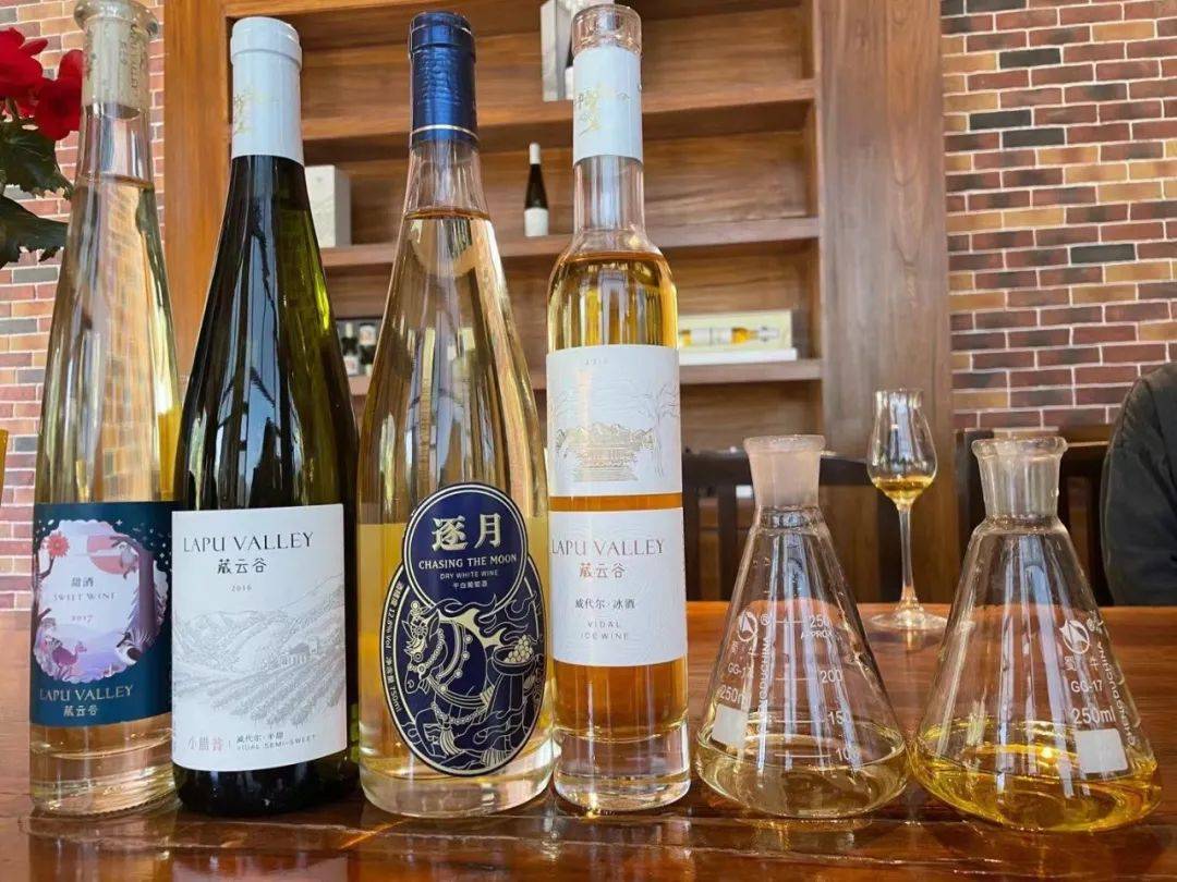 国产|百馥访谈,本期嘉宾马钊|WSET四级名师眼中的国产葡萄酒