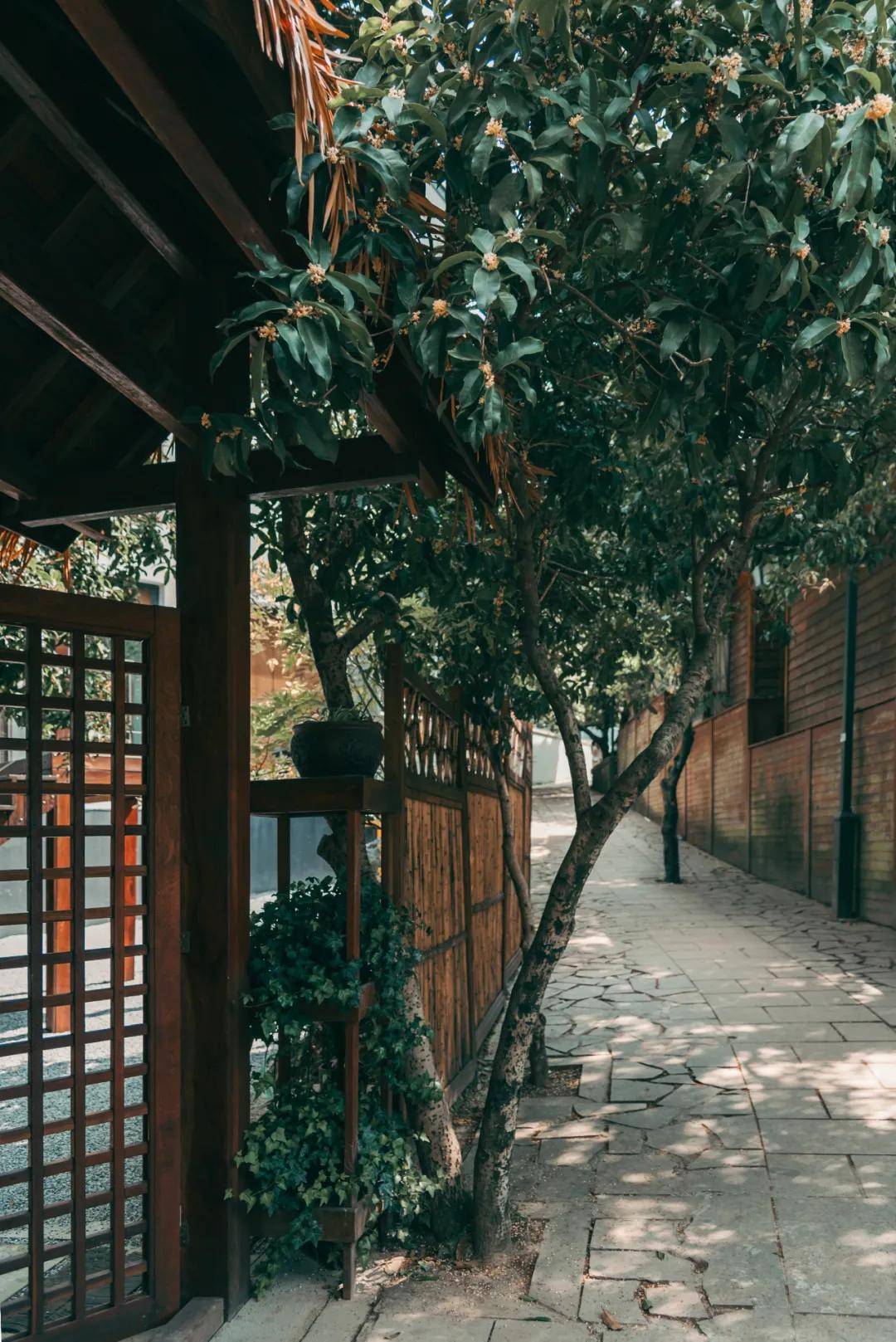 秋雨|白露丨蒹葭苍苍，白露为霜。所谓伊人，在水一方