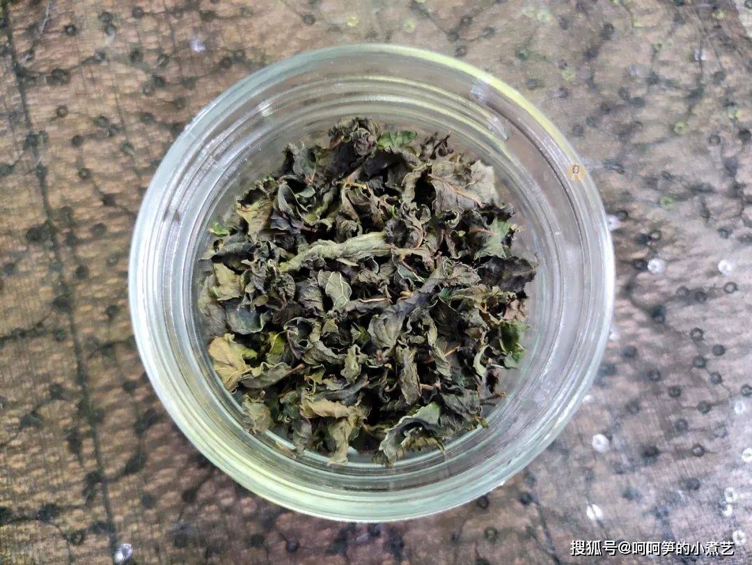 薄荷|新鲜的薄荷吃不完，教你做成薄荷茶，方法简单好储存，可以喝一年
