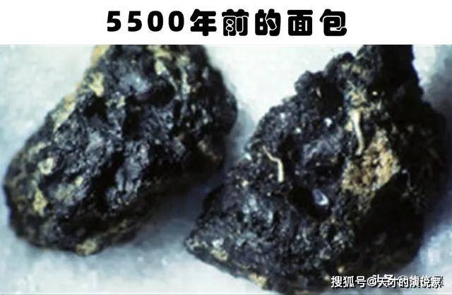 因为|考古学家找到的7个保存得非常好的古代食物