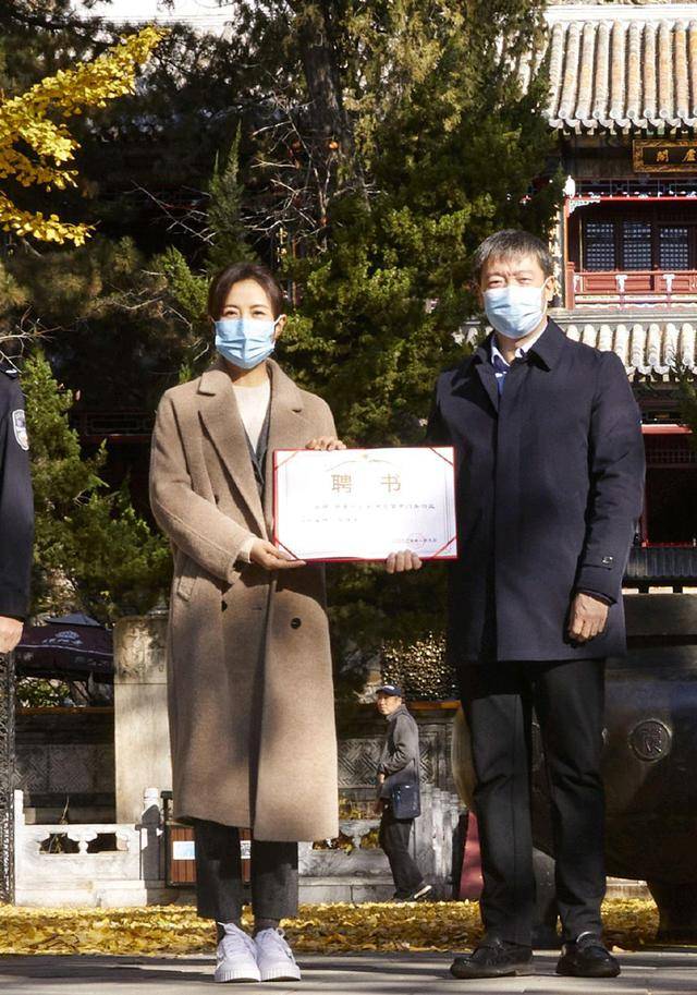 光泽感|真佩服杨童舒的气质感，穿宝蓝色天鹅绒西装干练优雅，端庄稳重