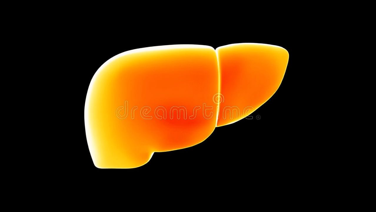 肝脏|锁住秋天的“脖子”！把握好时机，健康养肝，远离肝病的困扰