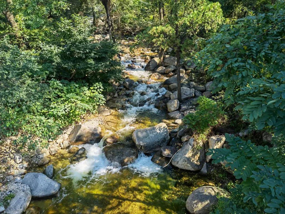 黑龙潭|无门票|济南出发，泰山免费景区赏清潭飞瀑、森呼吸，能玩水可登山