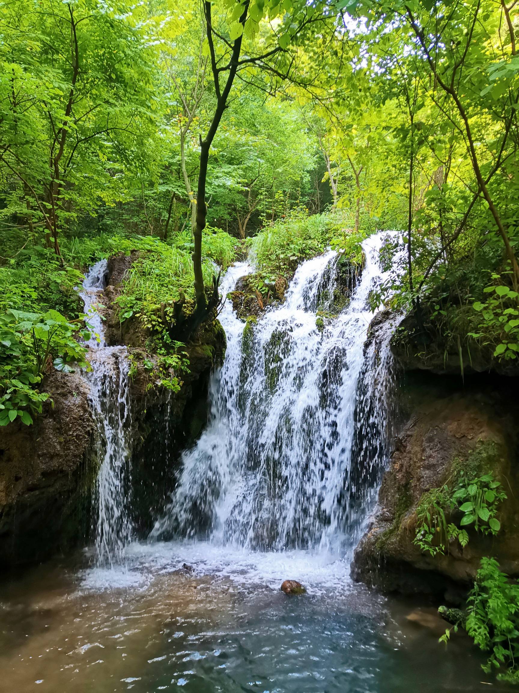 中秋节洛阳旅游推荐栾川王府竹海初秋赏景适合家庭出游好玩不贵