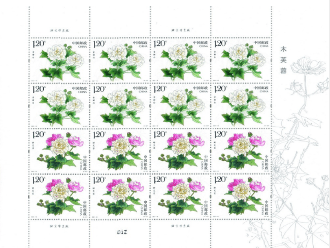 花朵|【东方金典集团】9.7发行！娇美硕大、朝开暮谢——《木芙蓉》邮票