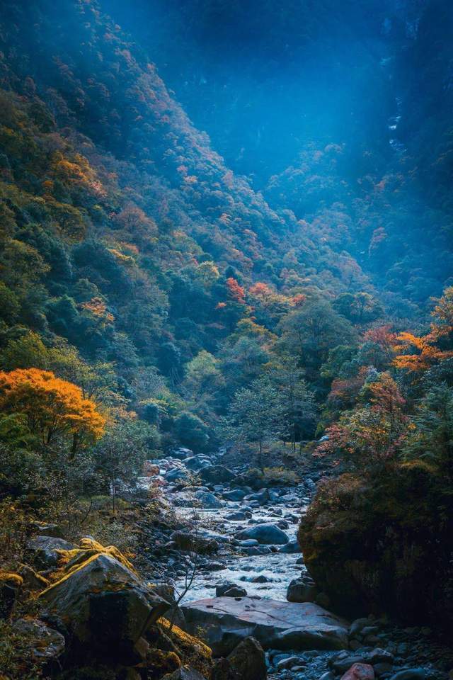 「草科乡」彩林风光无限好