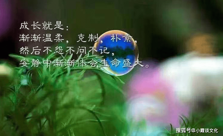 深入人心的简短句子,独一无二,一句比一句经典