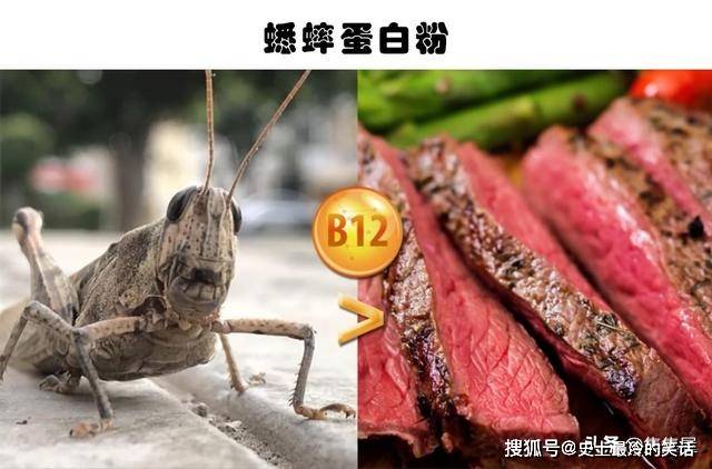 91c10b51a3f540208e2b70d9a86c28c6.jpeg