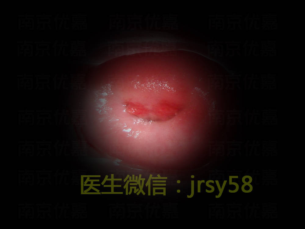 c25e3db0bb244f3fa2812889e73fc54e.jpeg