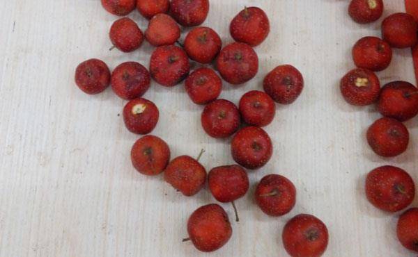 咽部|为什么会反酸？出现反酸烧心该如何是好？几招帮你调理，养出好胃