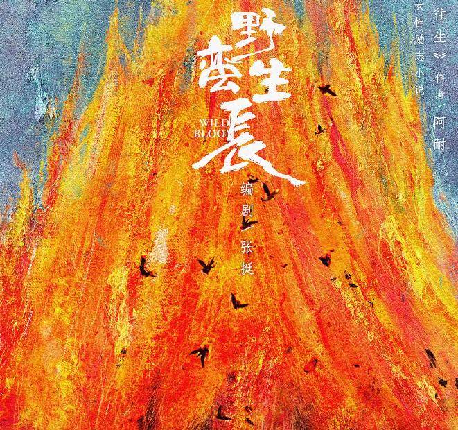 赵丽颖|赵丽颖新剧《野蛮生长》，演“狠角色”大女主，二次搭档顶流男星