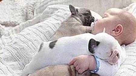 怎么样才可以变成小奶狗 c4f8f53458894a03bfedb5f3f8831a63.jpeg