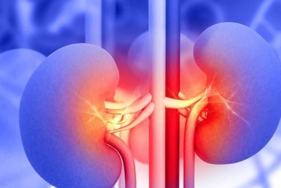 治疗|不想病情加重,肾友千万别随便停药!这几类肾友尤其要注意