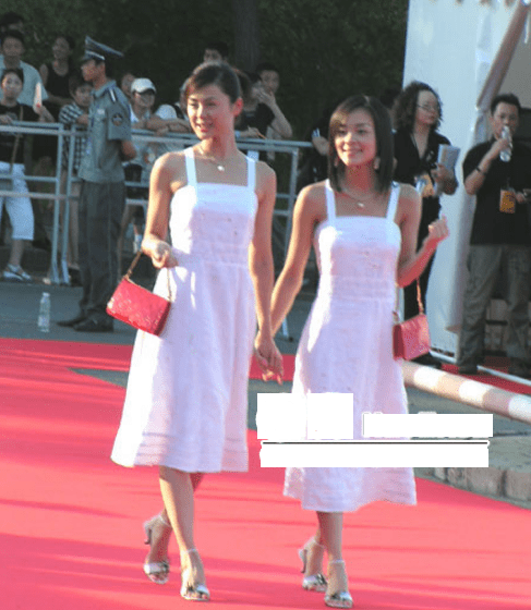 内衣|爆炸头、工装裤、貂皮配内衣，以前的女星红毯原来这么敢穿