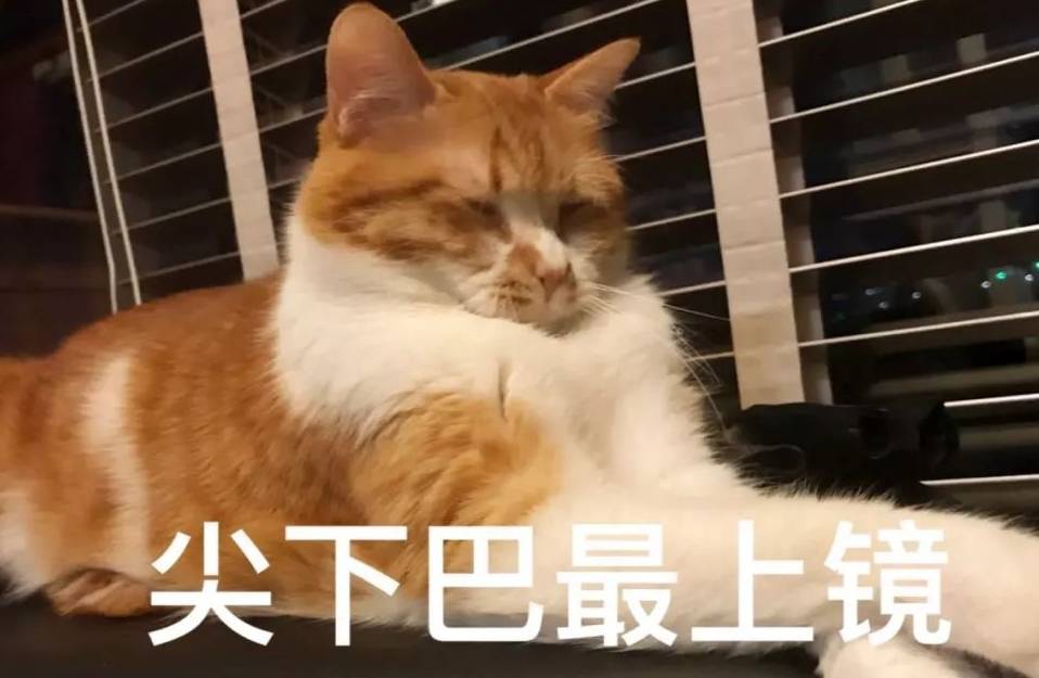有什么办法让猫不开门 9422b1b418d24025aeb4ed52fa32b9e7.jpeg
