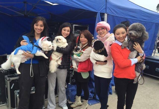 身材|51岁傅明宪罕见露面，穿T恤变胖背厚手臂粗，扎双麻花辫难掩老态