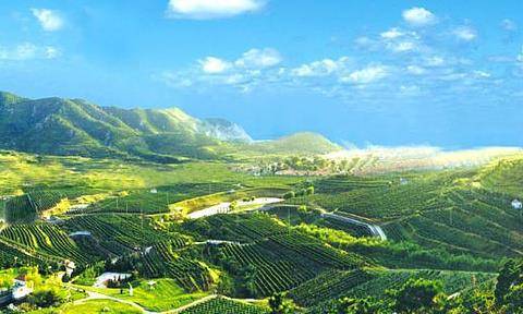 酿酒|“小而美”酒庄，渐入佳境，看天香酒庄葡萄酒的平凡之路