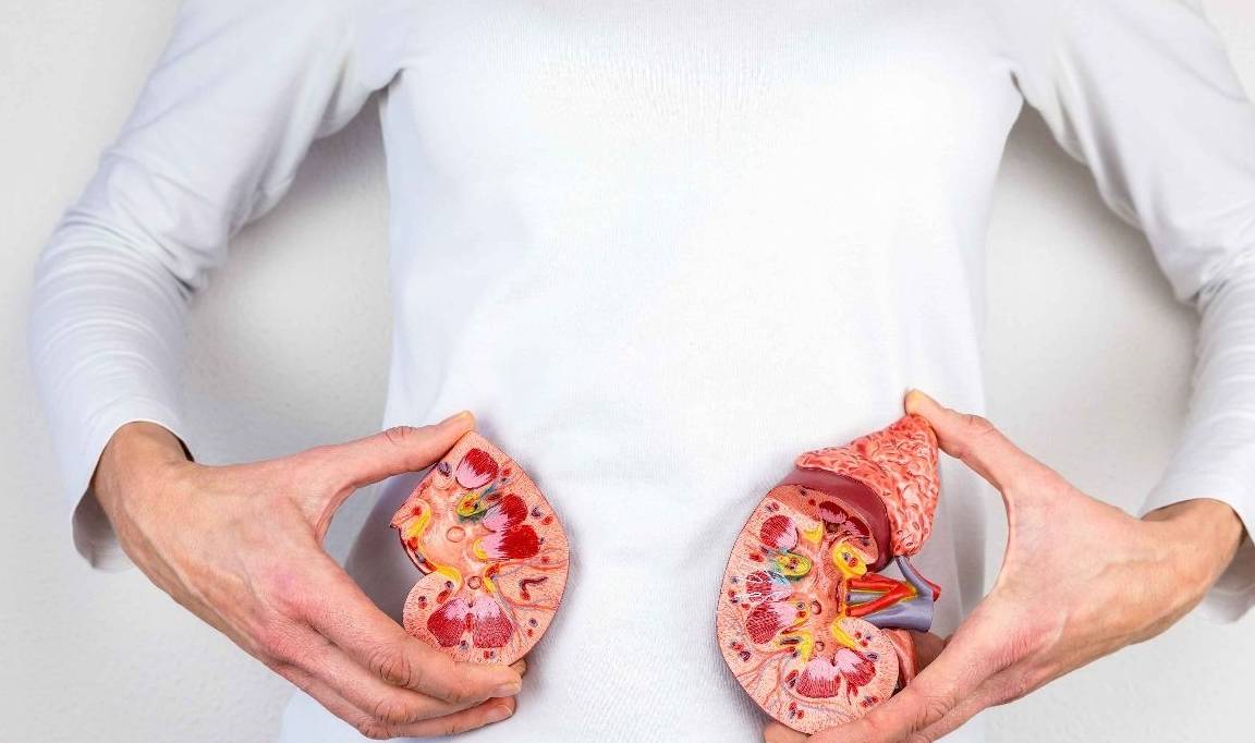 血管|提醒：这些慢性疾病若控制不好，当心它悄悄发展为尿毒症！