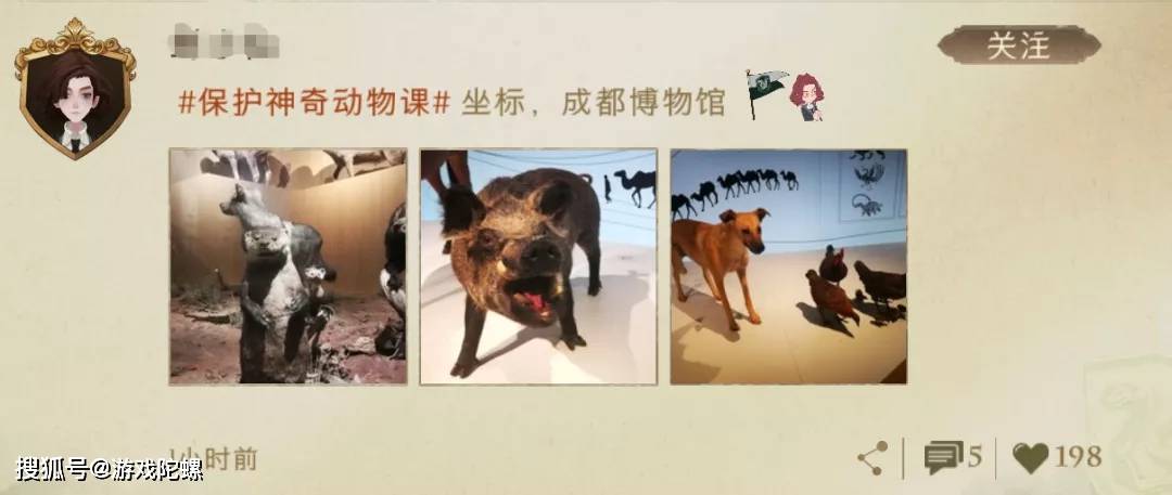 身份|《哈利波特：魔法觉醒》：江湖人称「小校内网」
