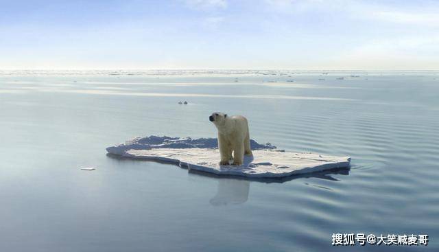 全球極端氣候頻發,上萬名科學家警示:地球氣候進入緊急狀態_人類