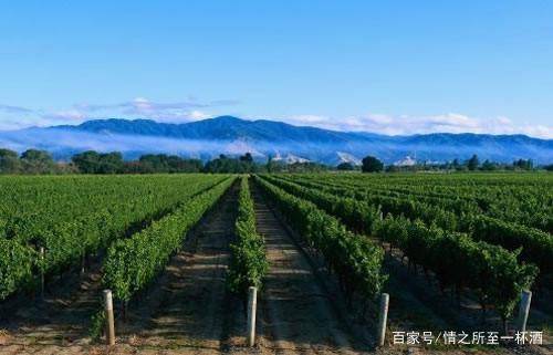 生活|家在宁夏,我骄傲!