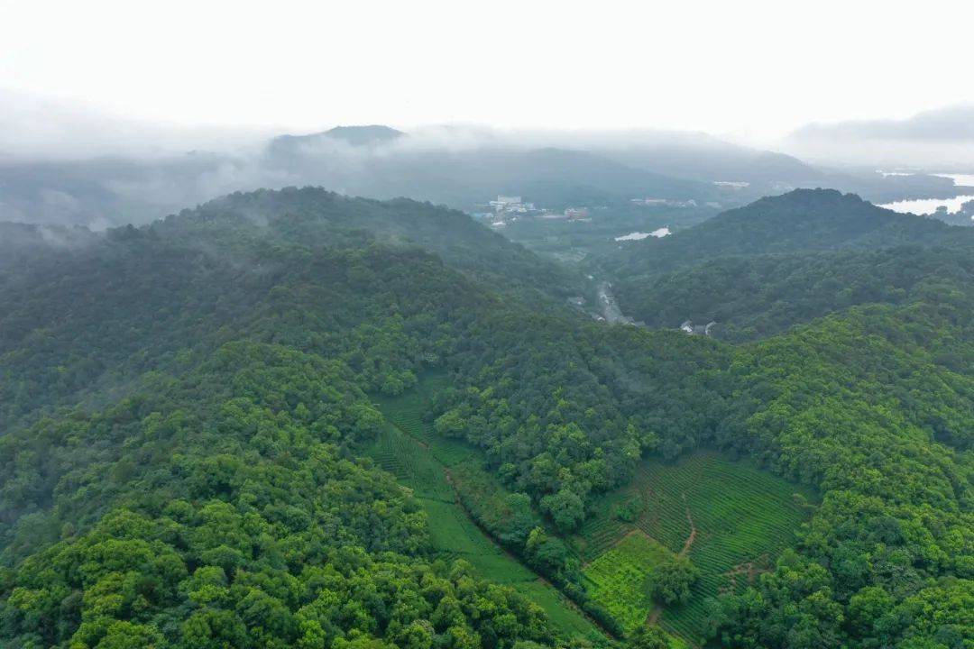 东方|宿杭州山水间的神仙美居，静享桃源秘境里的东方浪漫