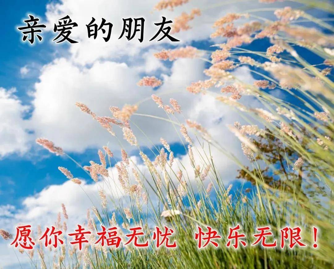 b1357750e6db41abb21b79adf86d62ea.jpeg