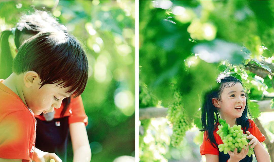 小孩|安吉胖若两人?《爸爸去哪儿》8年后:那些小孩都怎样了?