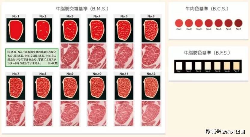 人生必吃一次的美食 关于日本和牛 看这篇就够了 肉质 新闻时间