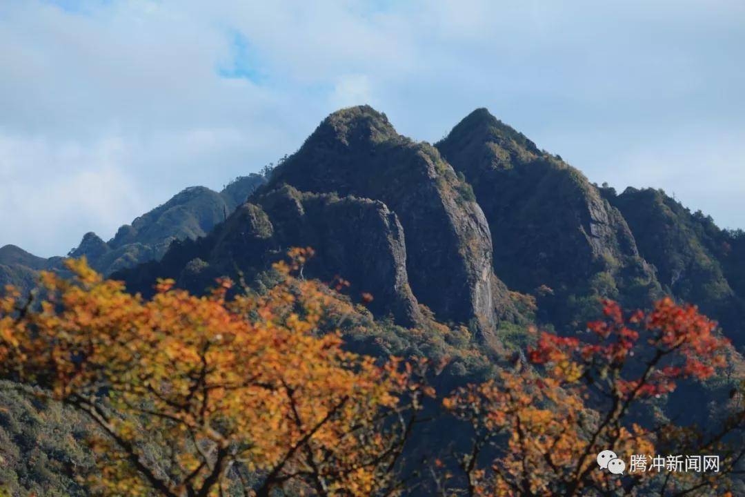 角雉|走进林家铺，探寻生物多样性基因库