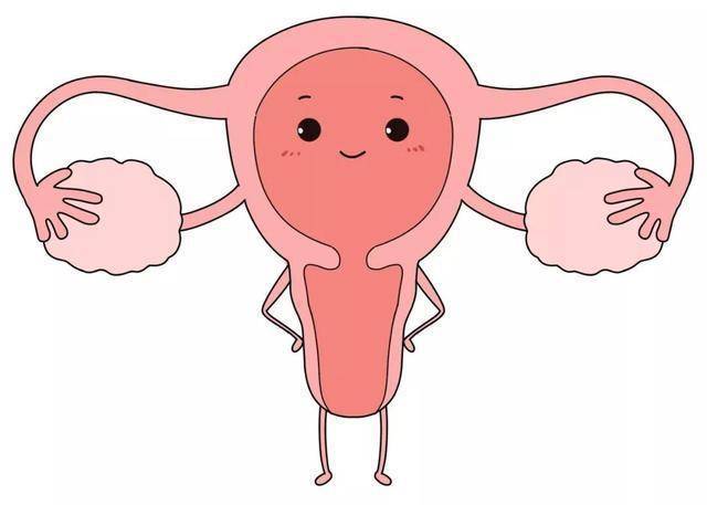 宫腔|腺肌症保宫术：孙爱达专业治疗腺肌症