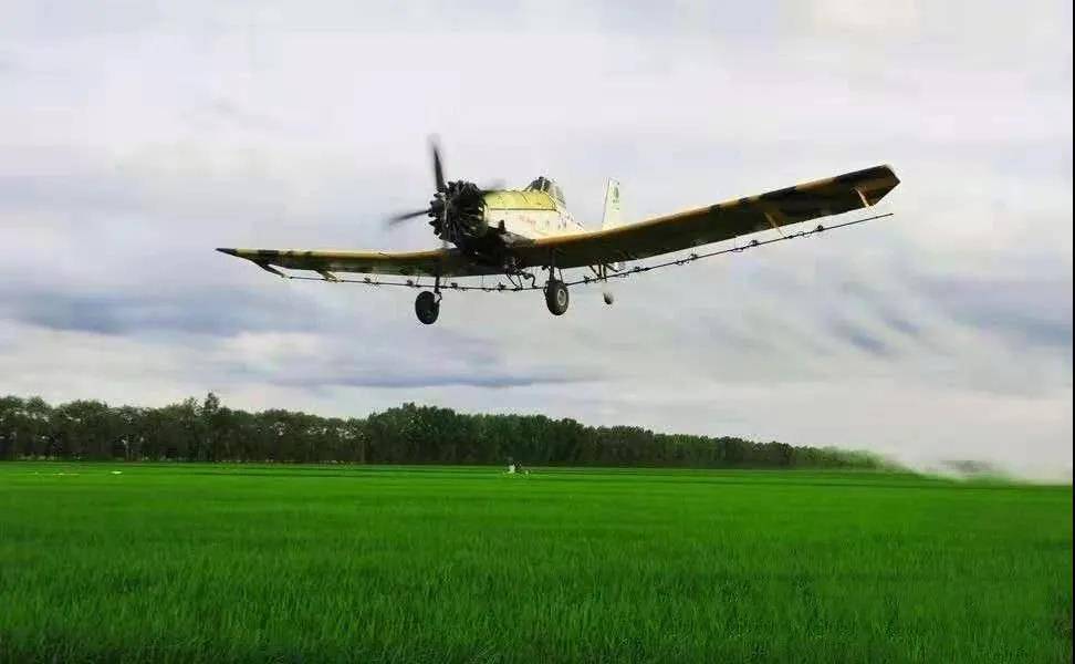 黑龙江双鸭山市加快推进旅游产业高质量发展