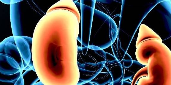 尿酸|肾结石,大多是平时吃出来的!少吃 3样食物,减轻肾脏负担