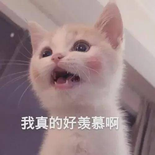 5692cd0bd23c4e28bacc9f2bd28cb069.jpeg