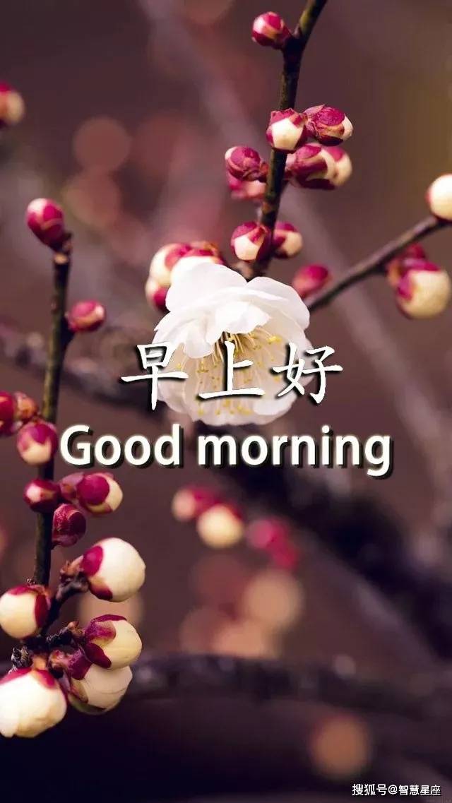 63920330f6834df28fdf0d7d3ac4a7e1.jpeg