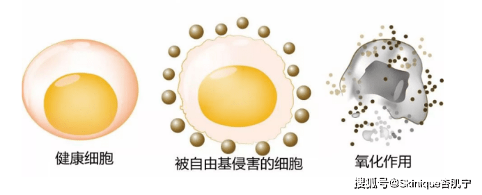 生活|抗糖化？抗氧化？抗衰老？张韶涵的冻龄秘籍你get到了吗？