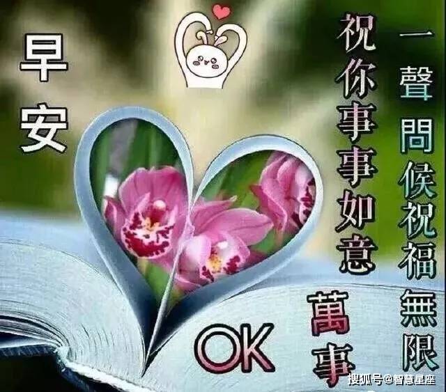 14e939679b5d40778eccb4fb5f576164.jpeg