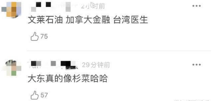 董子健处女作获监刘冠成制撑腰懒理网民狠批(图)！梁嘉琪
