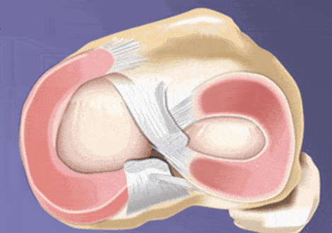 网友|倪妮新封面撞脸辛芷蕾？网友：这图有点辣眼睛...