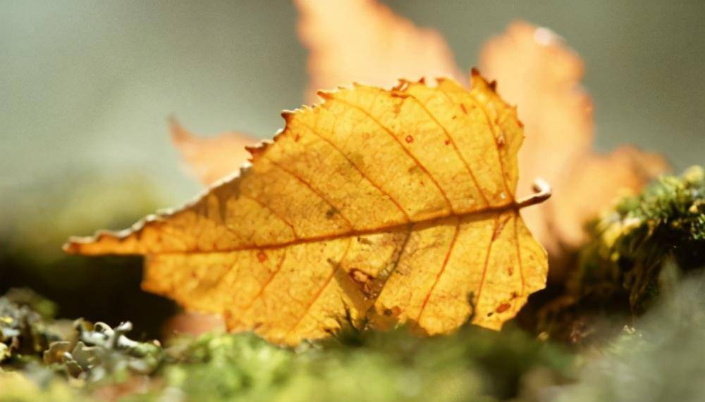 本人|女人的格局,决定着你的“结局”,3点教大家拓展自己的格局