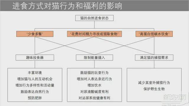 宠物营养峰会上，大咖们都说了什么？ - 渠道营销- 宠业新观察网- 宠物 