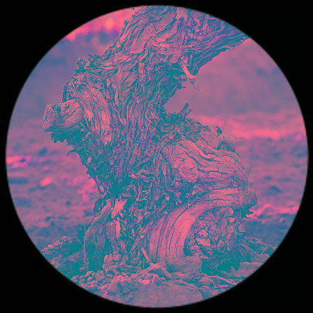 栽培|菲雷尔酒庄维斯塔干红葡萄酒2014!