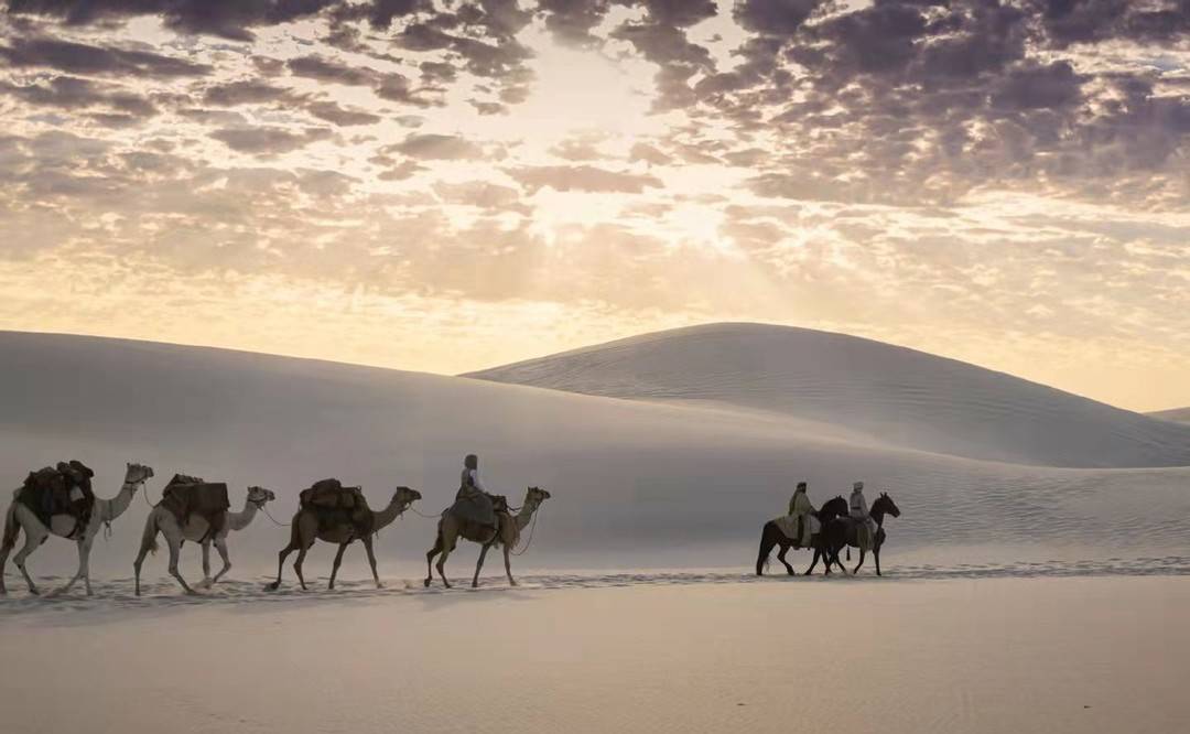 骑骆驼|八十天环游地球出新版，男主非洲骑骆驼，网友：还是成龙那部经典