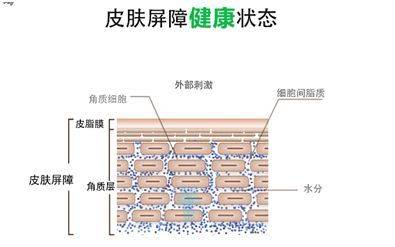 能力|重庆新依美美肤：皮肤屏障是什么？受损如何修复？