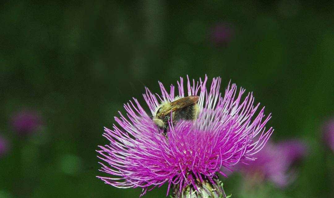 治疗|乙肝老患者分享治疗经验，这3件事情不要做，多花钱还没效果