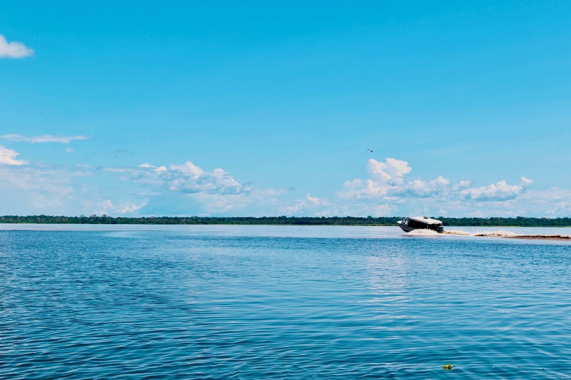 原创亚马逊河有多可怕1500万人居住在附近为什么一座桥都不敢建