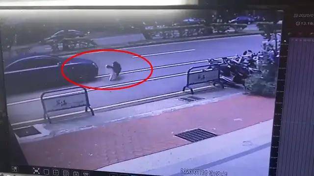 主人|哈士奇越狱遭车撞,宠物医院检查后竟毫发无损!结果反赔车主3万?